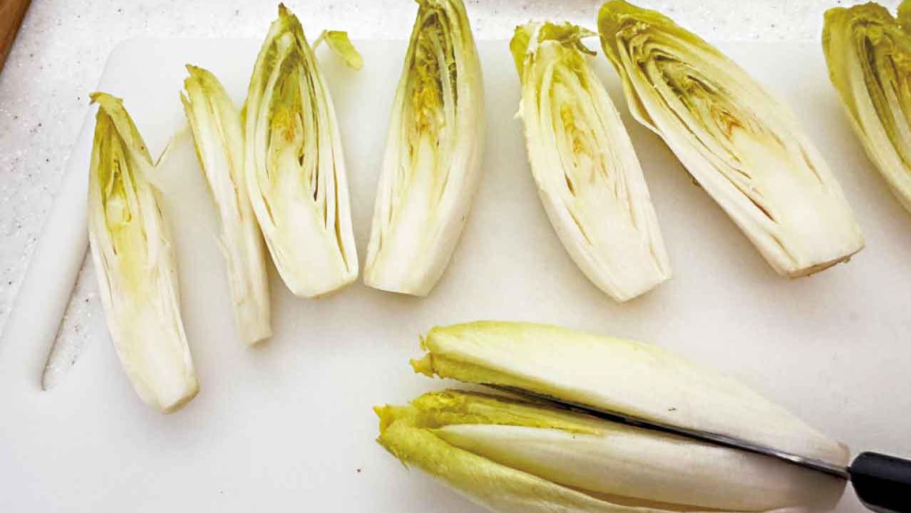 菊苣小傳（二）