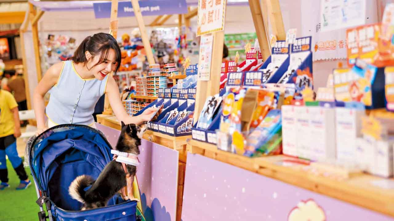 青衣城全新「青新貓狗樂園」開幕 中秋Furry Market 寵物市集登場