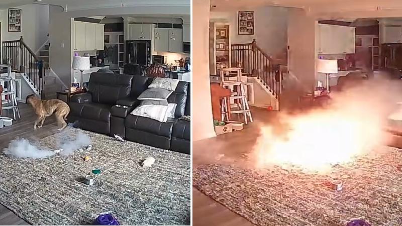 主人不在家狗咬鋰電池突冒煙 瞬間爆炸起火(有片)