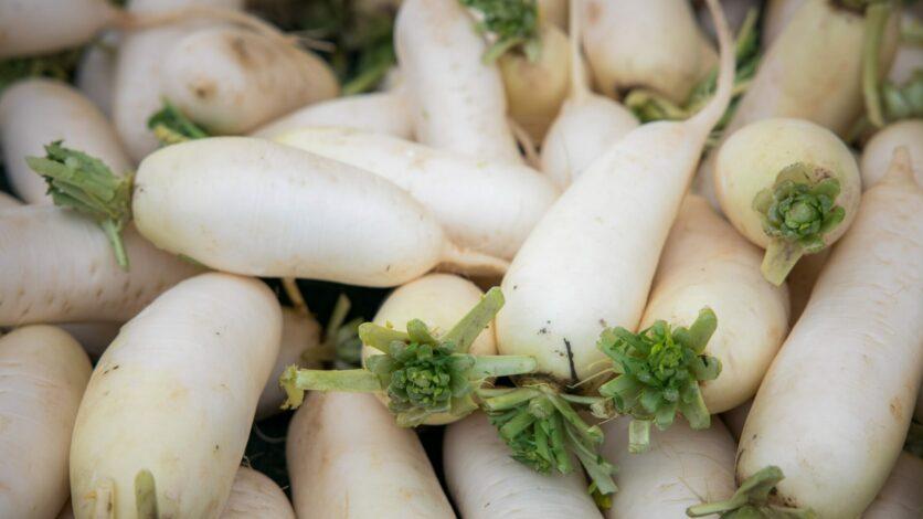 四季平安靠食補 當造蘿蔔助消化排毒 熱量極低唔怕增磅