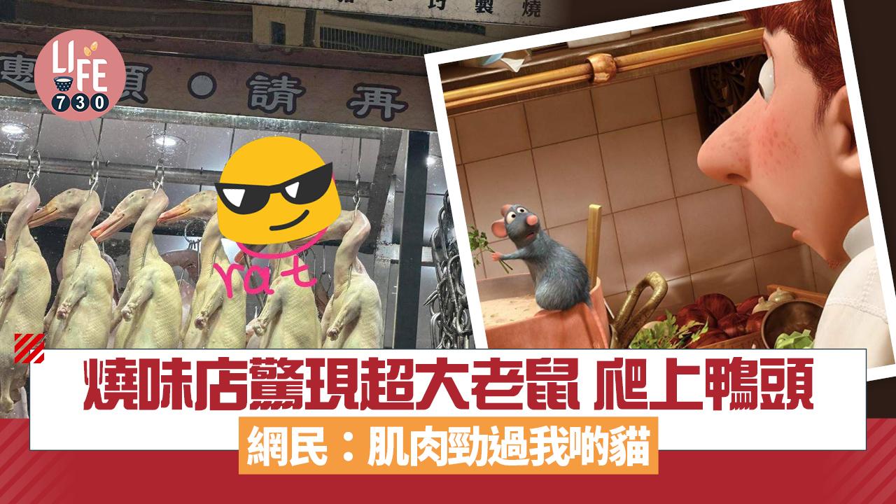 網上熱話｜燒味店驚現超大隻老鼠 爬上鴨頭一刻曝光 網民：啲肌肉勁過我啲貓
