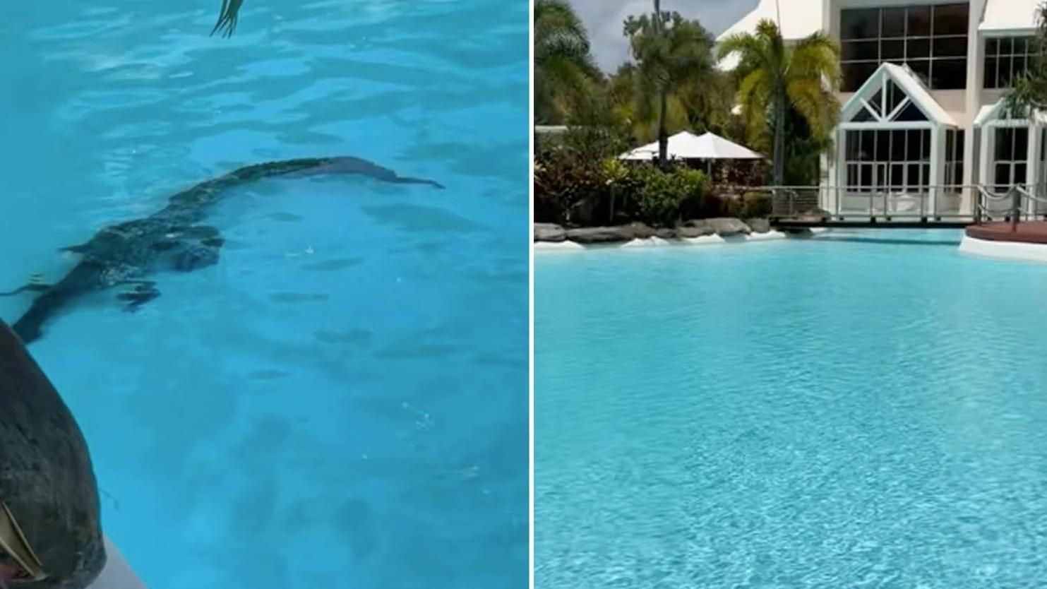 鱷魚伏在酒店泳池水底，遊客在泳池另一邊曬太陽，相安無事。(互聯網)