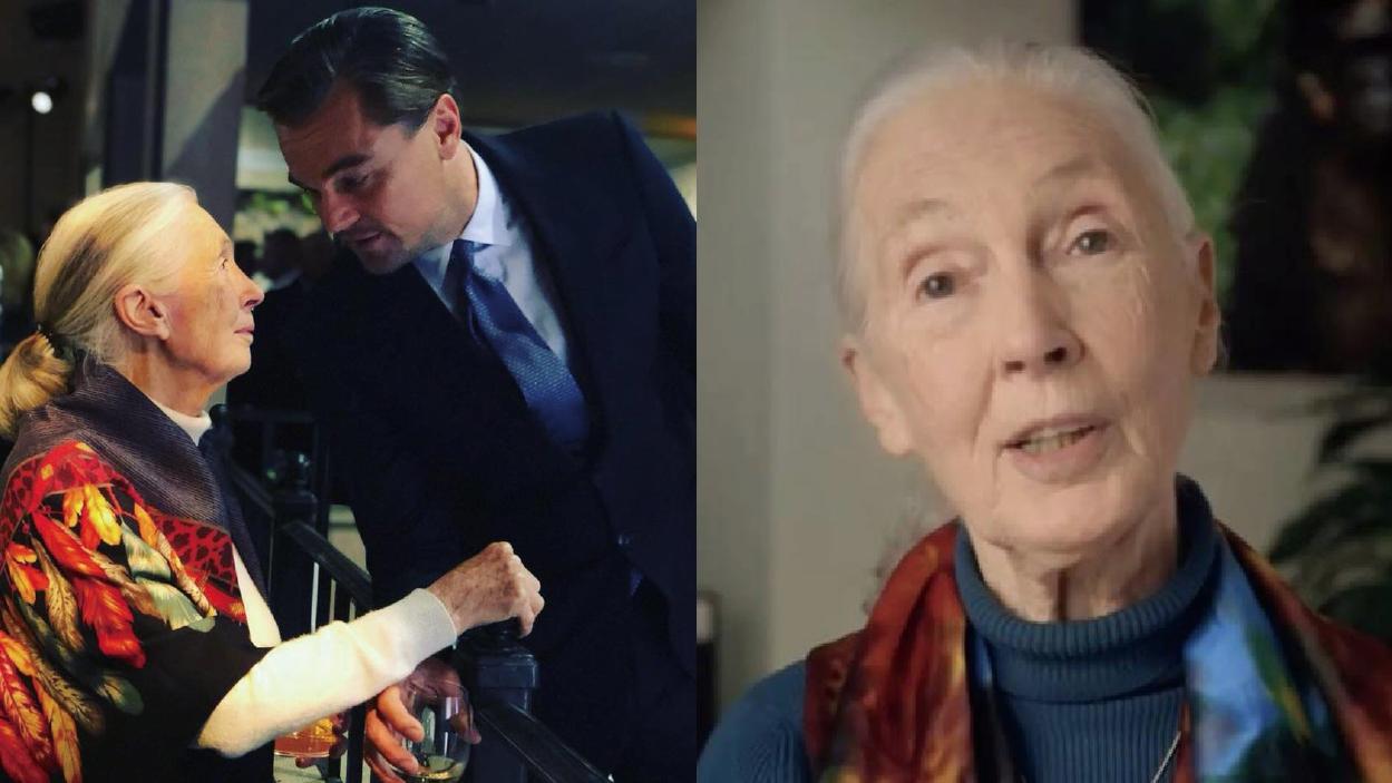 靈長類學權威Jane Goodall病逝  里安納度發文悼念