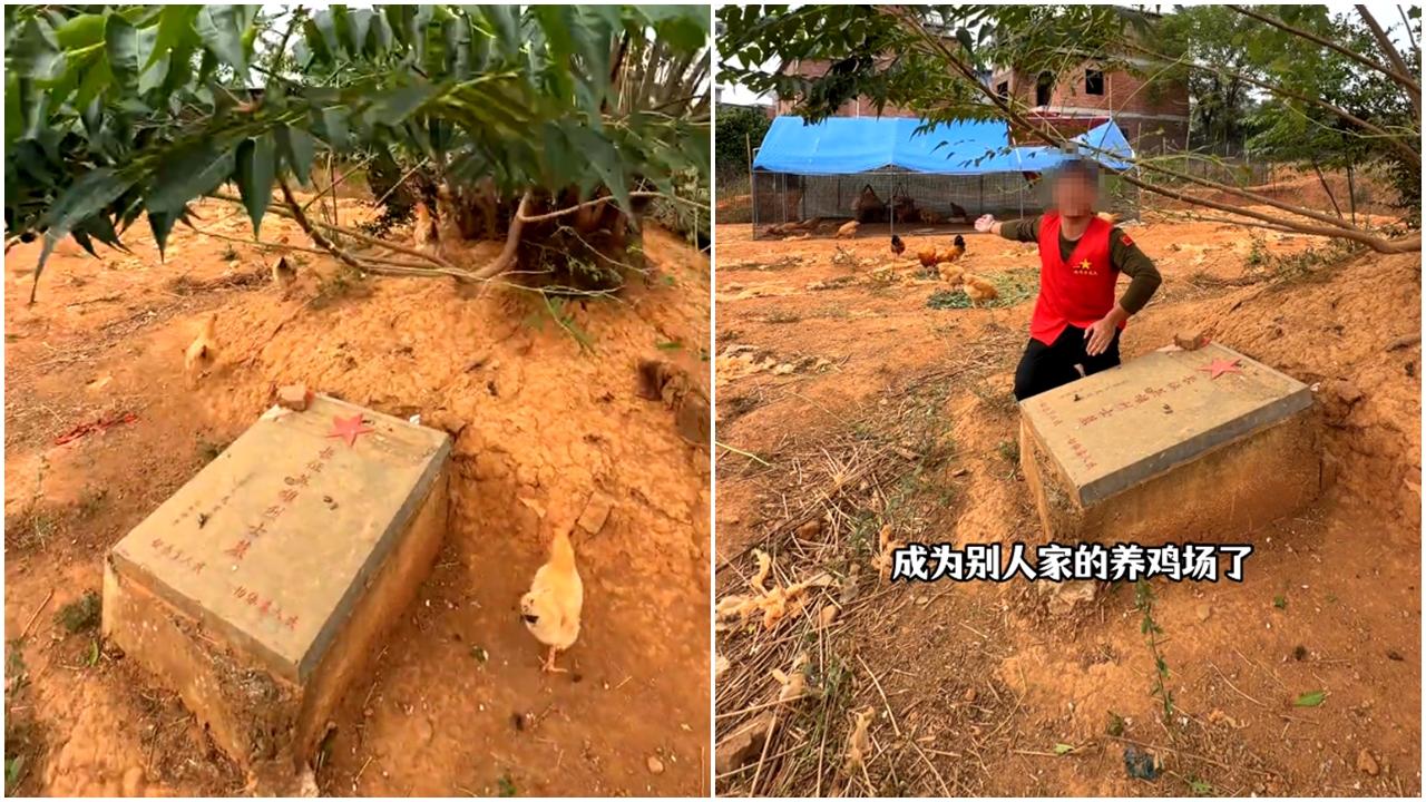 烈士墓地變養雞場？ 當地政府：已拆除 (有片)