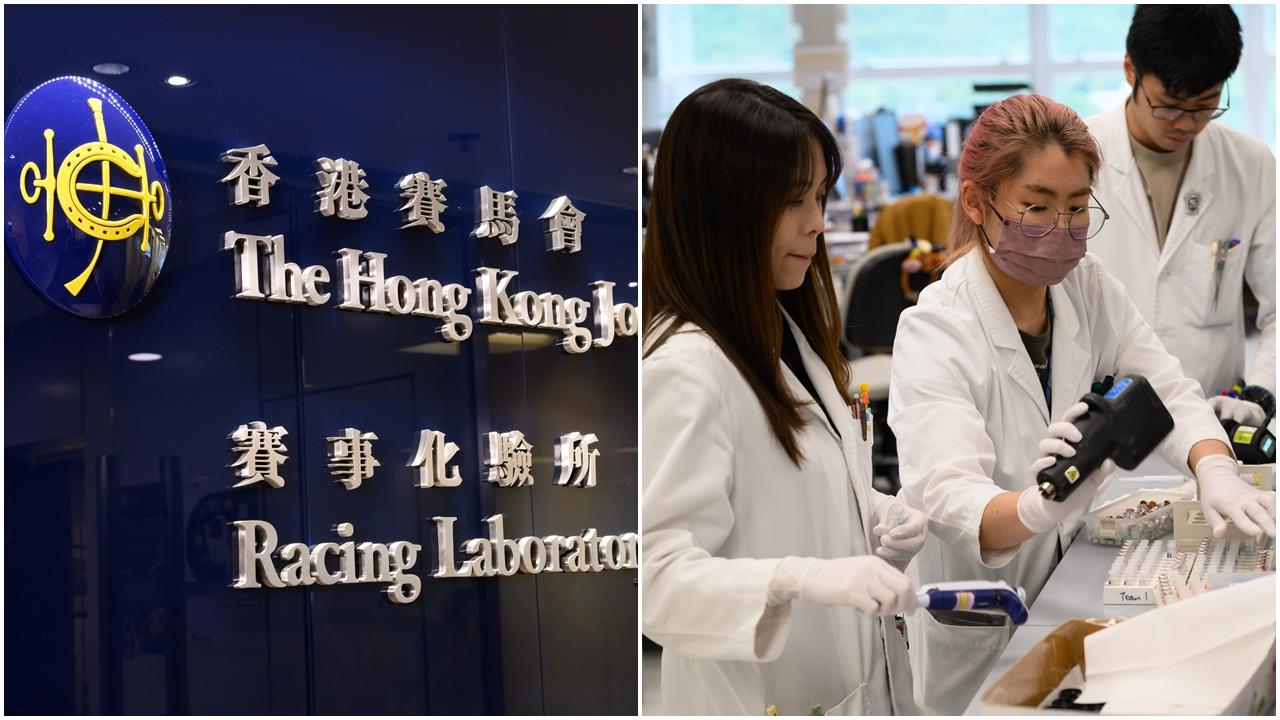 全運會｜賽馬會撥逾5億元支援馬術賽事 AI協助處理馬匹藥檢數據