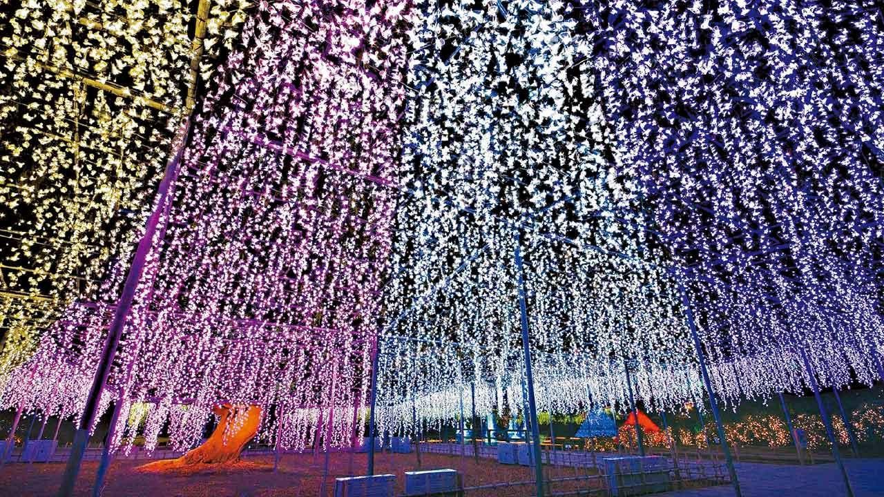 人生必看限定奇景！藏王樹冰絕景 足利花卉公園燈光秀 7天團