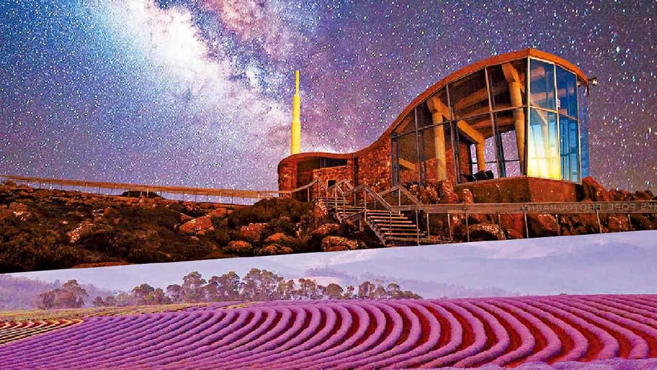 紫想與你看星星 塔斯曼尼亞＋墨爾本＋悉尼11天豪歎澳洲三城