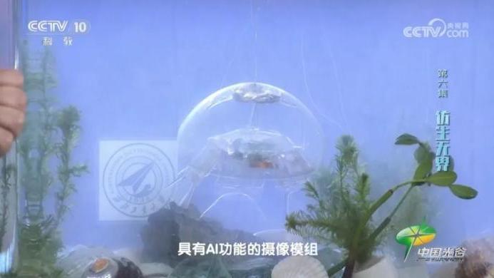 水下幽靈｜陝西研發「仿水母」機械人　近乎無聲可在深海極端環境探測