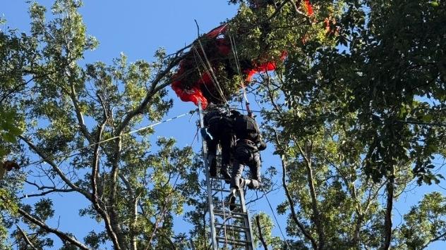 學員卡在樹頂上等候救援。(互聯網)