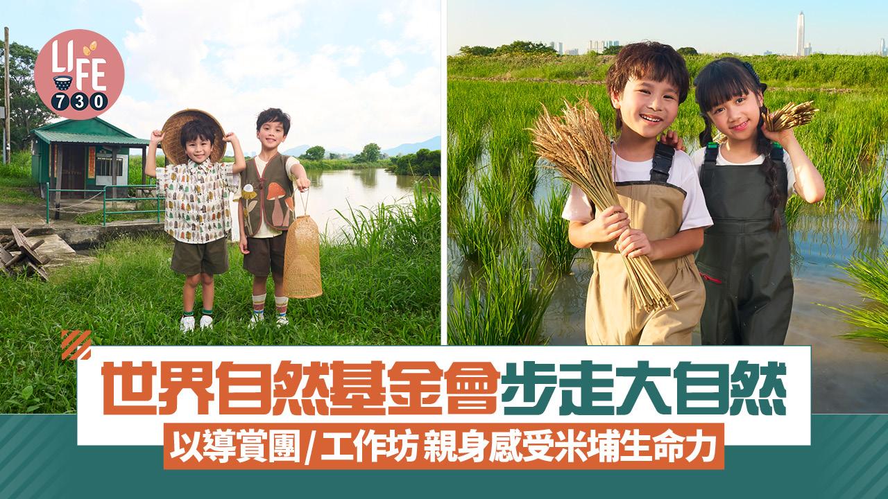 世界自然基金會步走大自然 以導賞團/工作坊 親身感受米埔生命力