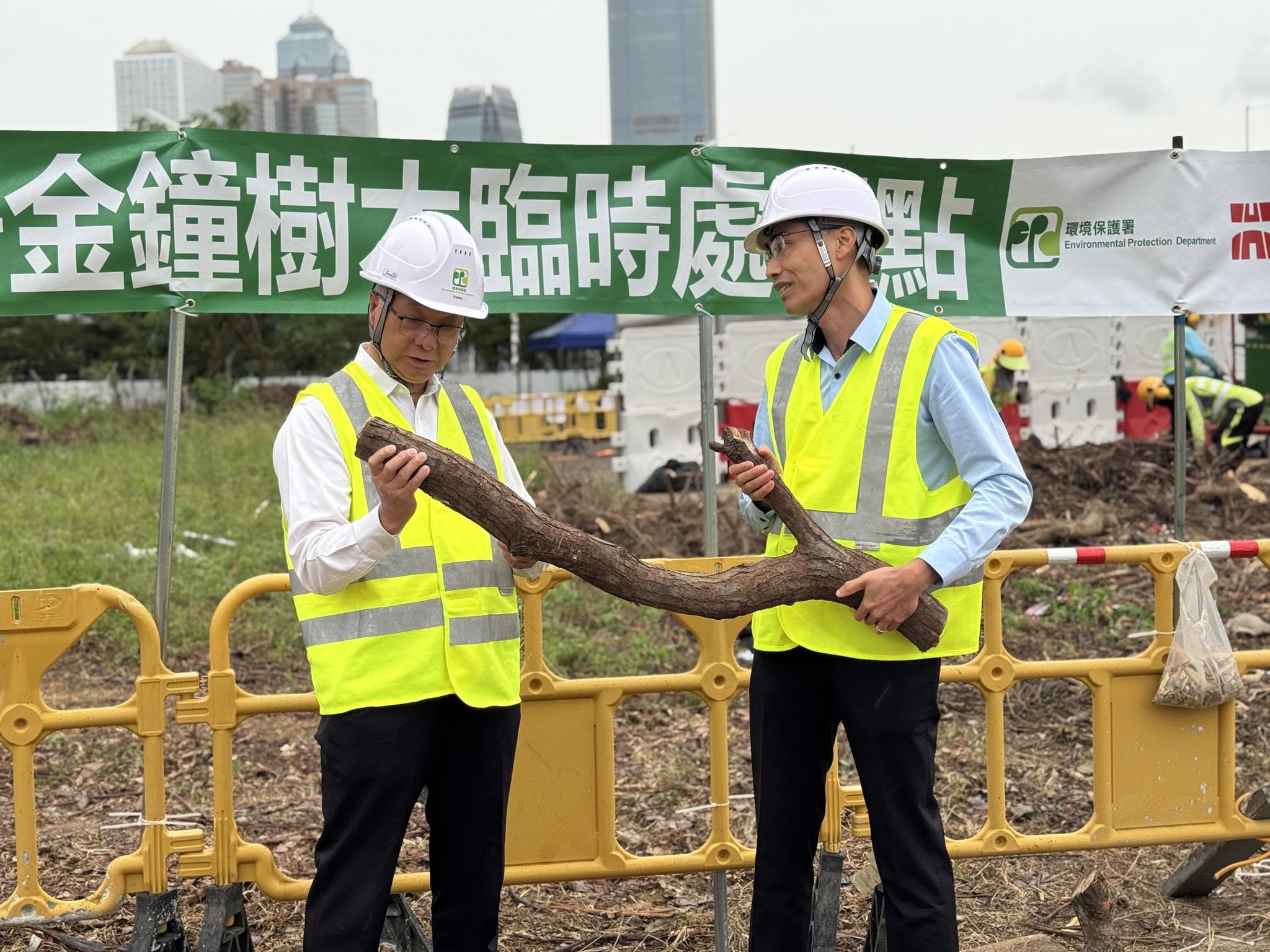 環保署說，共接收超過570公噸塌樹物料，當中篩選出約410公噸物料適合回收再造。（環境及生態局社交網站）