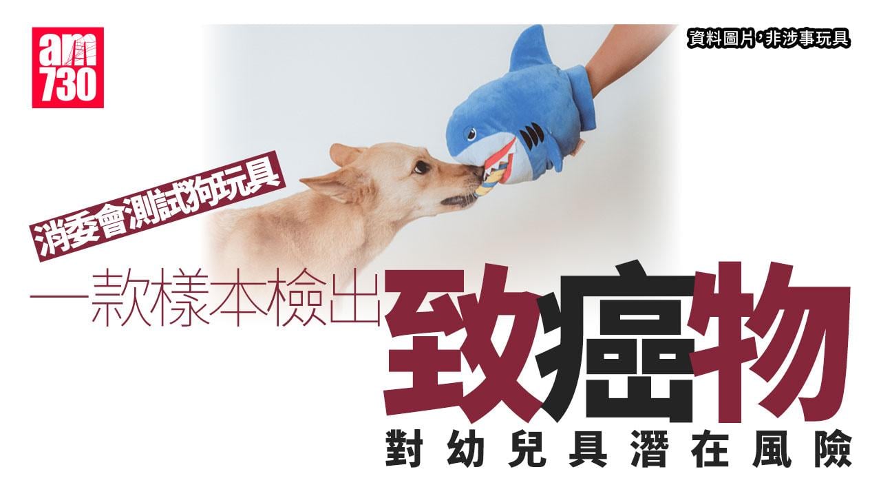 消委會｜1款狗玩具檢出致癌物六價鉻　2款獲最高5星總評最安全