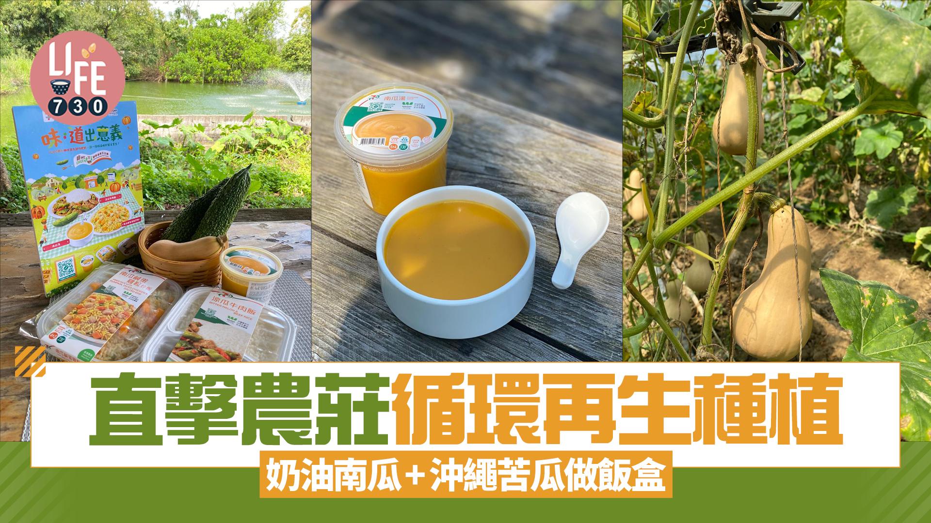 直擊元朗農莊咖啡渣循環再生種植奶油南瓜+沖繩涼瓜 做7仔聯乘美心飯盒