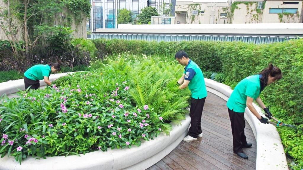 即將開展升浪 可候低吸納豐盛生活服務