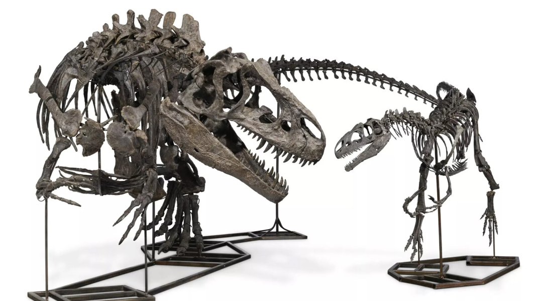 中國商人蘇炳海涉星洲179億元洗錢案 遭英沒收恐龍化石及9豪宅