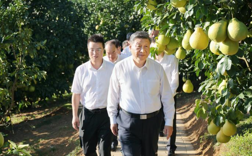 習近平上周五、六在廣東考察，聽取廣東省委和省政府工作匯報。(新華社)