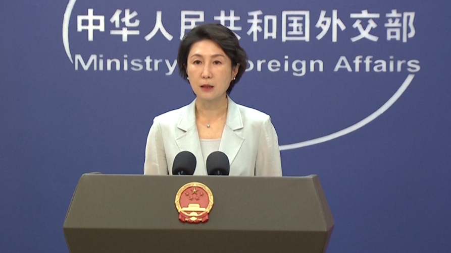 外交部發言人毛寧。（圖/翻攝《央視》）