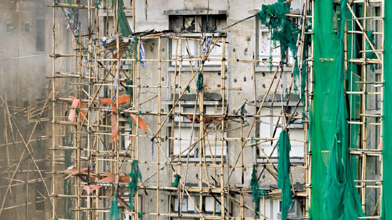 設調查及規管工作組查五級火 圍網發泡膠不尋常