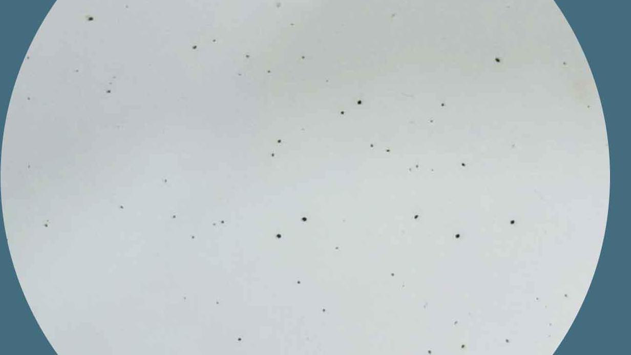 太古城食水現黑點 水務署證沉積物為瀝青