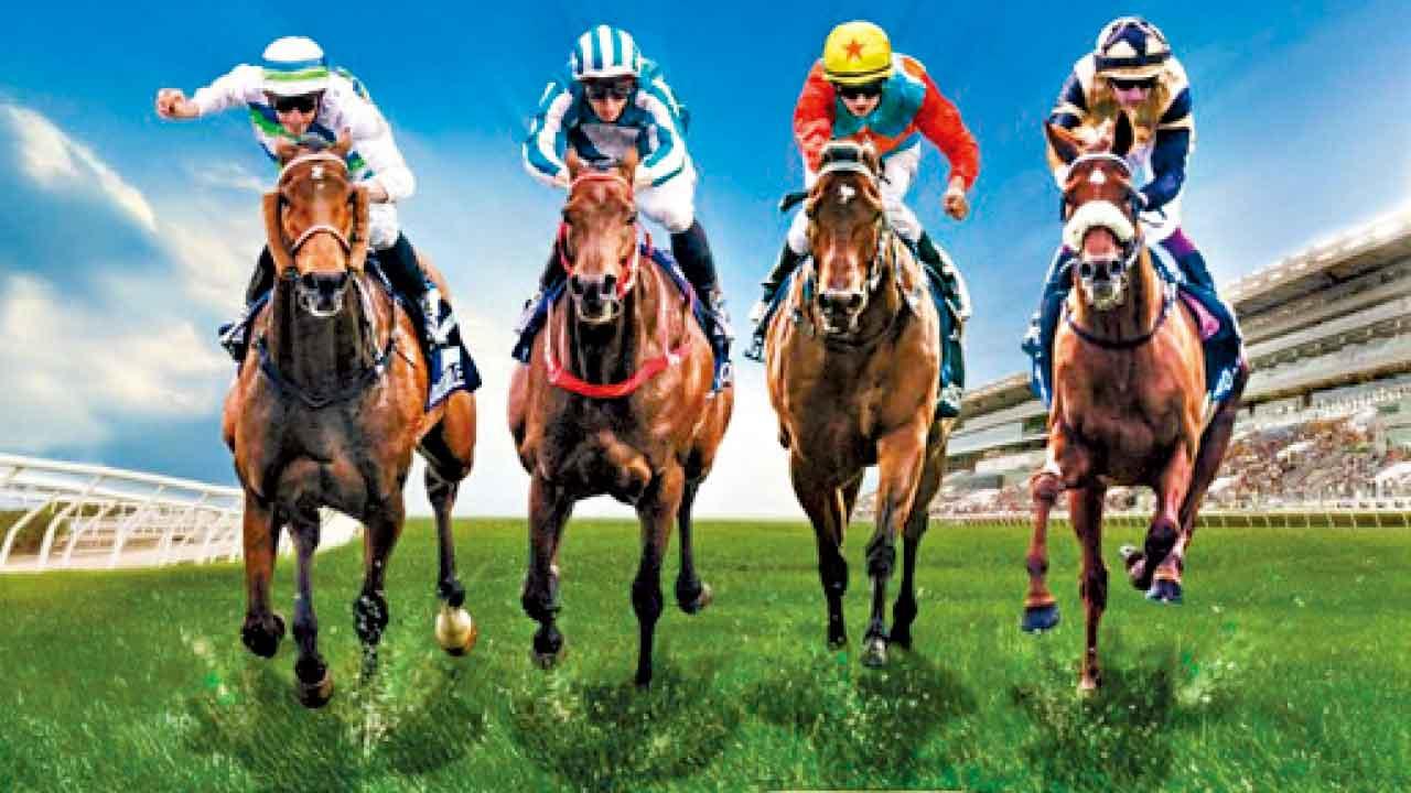 世界級賽馬娛樂盛事12月壓軸亮相 韓流巨星RAIN震撼演出