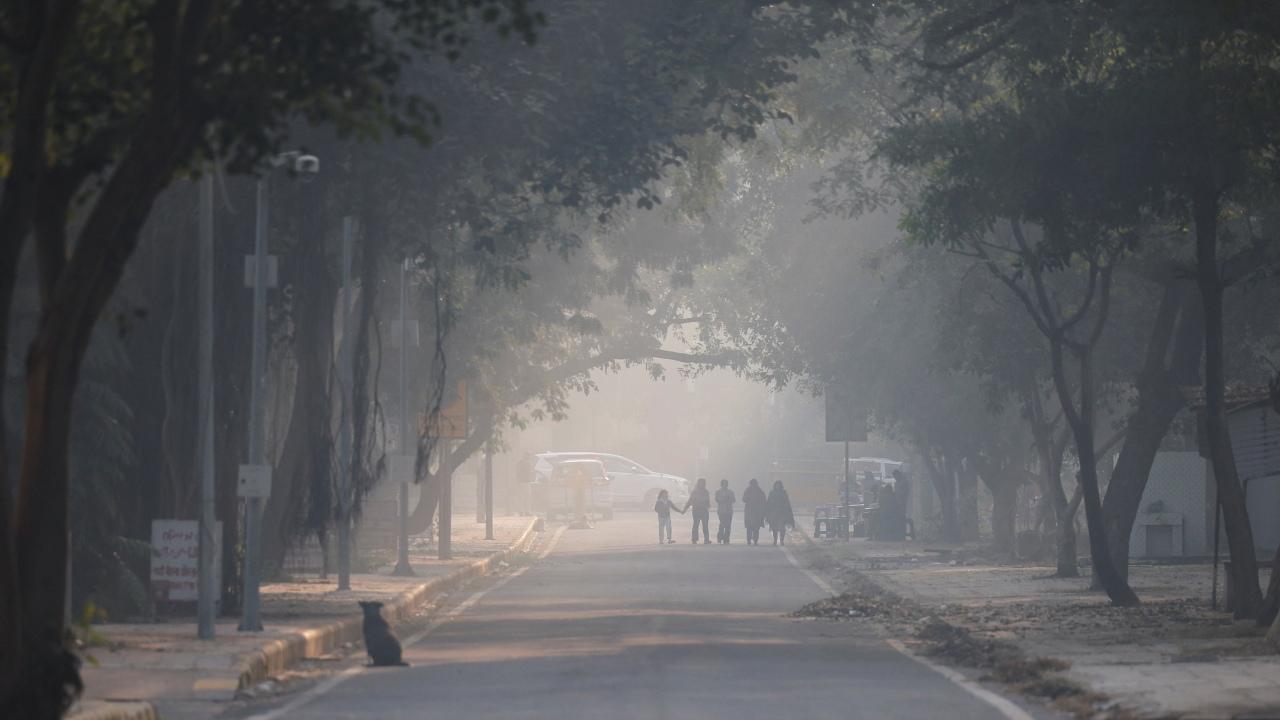 印度新德里空氣污染水平已達「危險」級別。（路透社）
