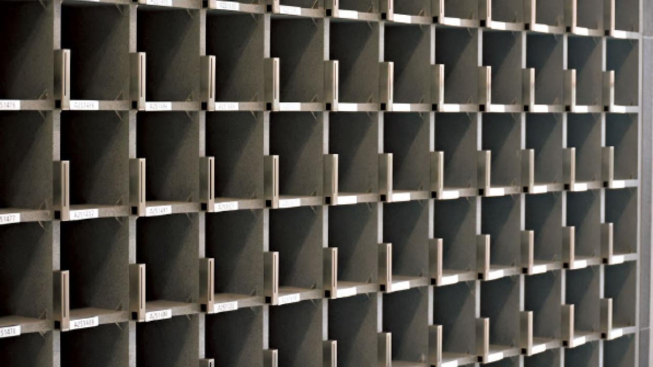 政府應尊重傳統民俗