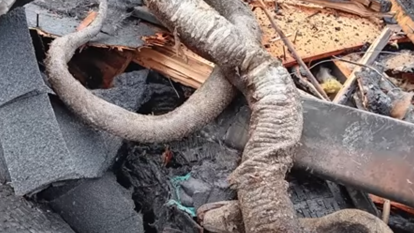 住宅起火疑為救寵物 男子與60條蛇葬身火海巨蟒變蛇乾