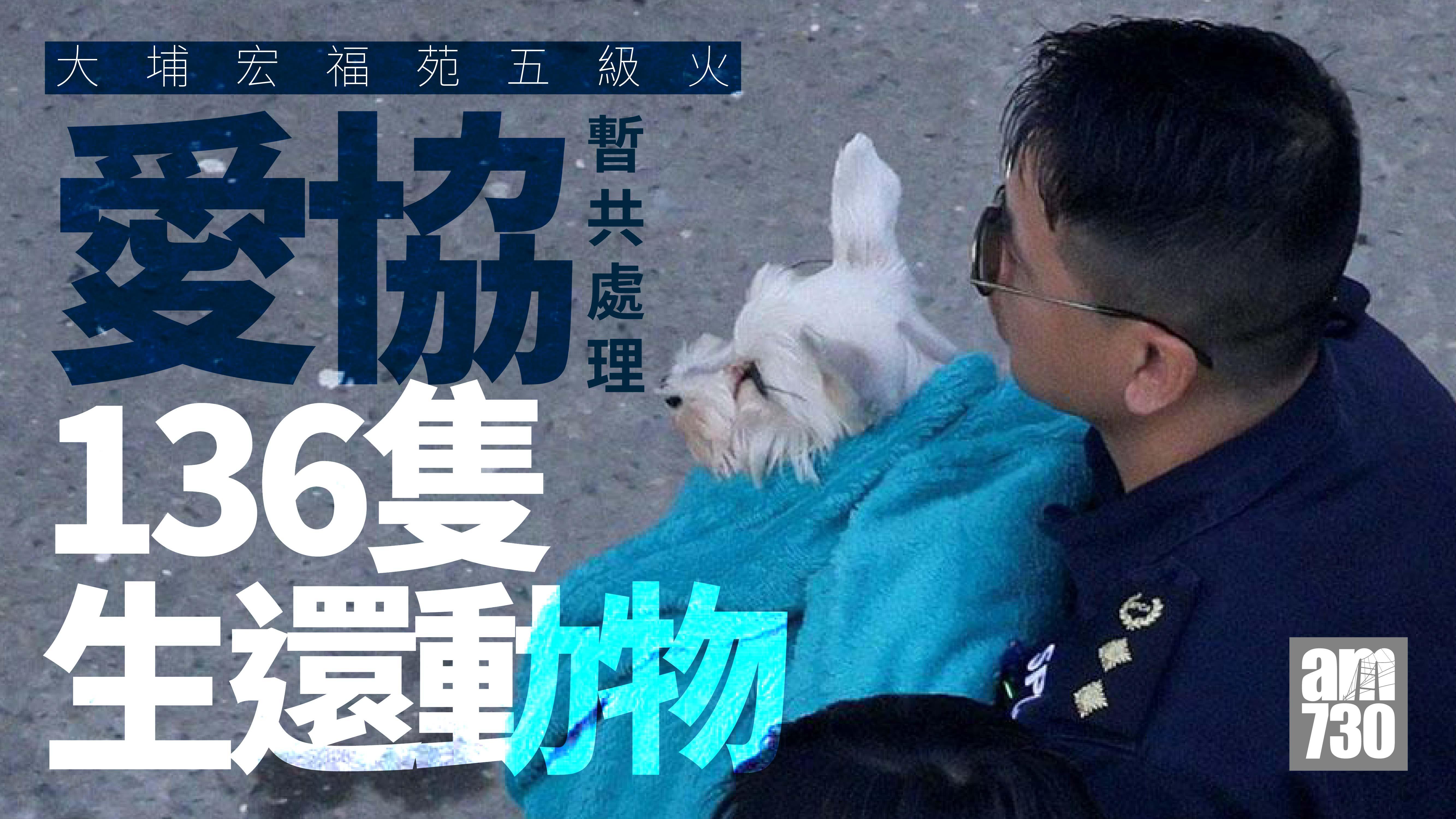 大埔宏福苑五級火｜逾330隻寵物受大火影響　愛協已處理136隻生還動物