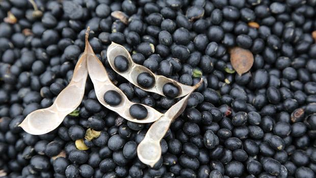 入冬養腎，四黑烏雞湯