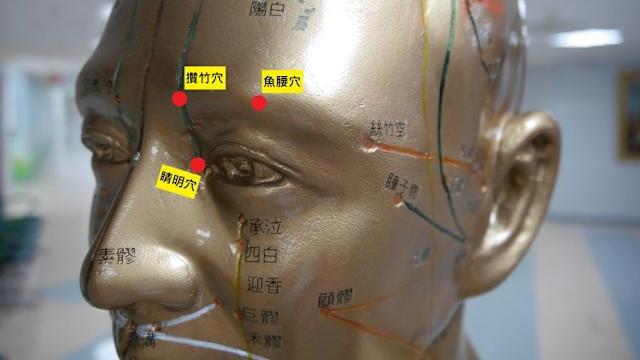 中醫眼科的現代價值