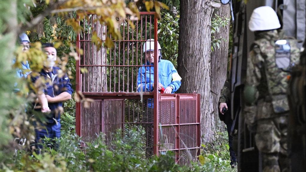 日本陸上自衛隊協助設置捕熊用的獸籠。(美聯社)