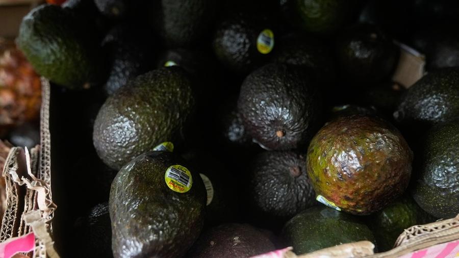 難敵通脹民憤壓力 特朗普撤逾200食品關稅