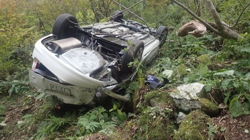 日本自駕遊疑誤踩油門 8旬夫婦連人帶車衝破護欄墮谷亡