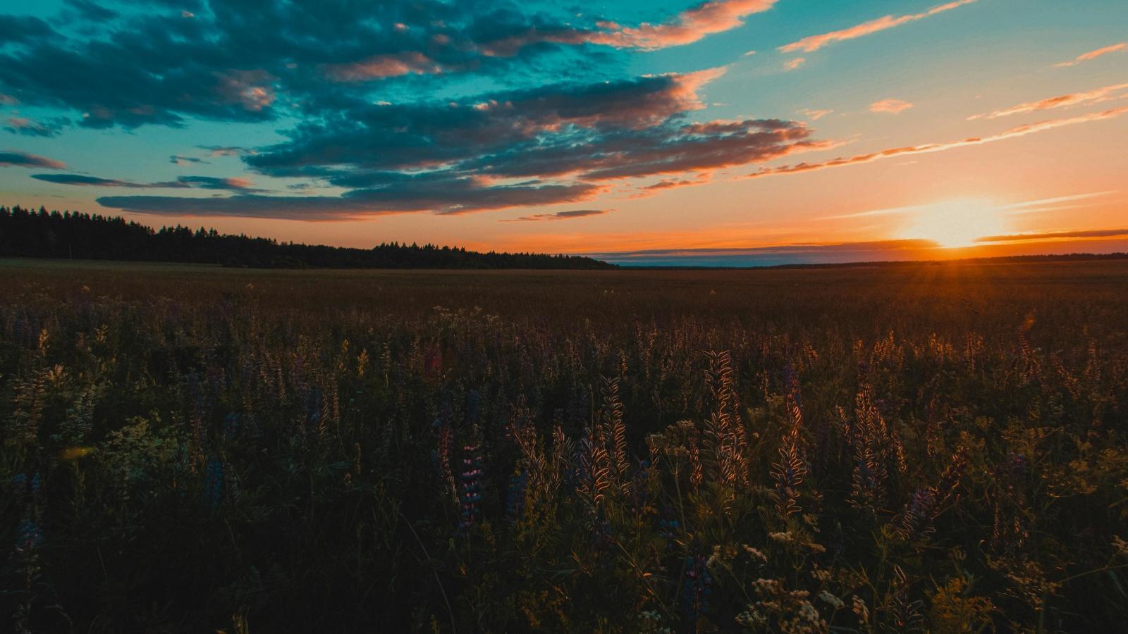 九運——高靈性才是致勝關鍵