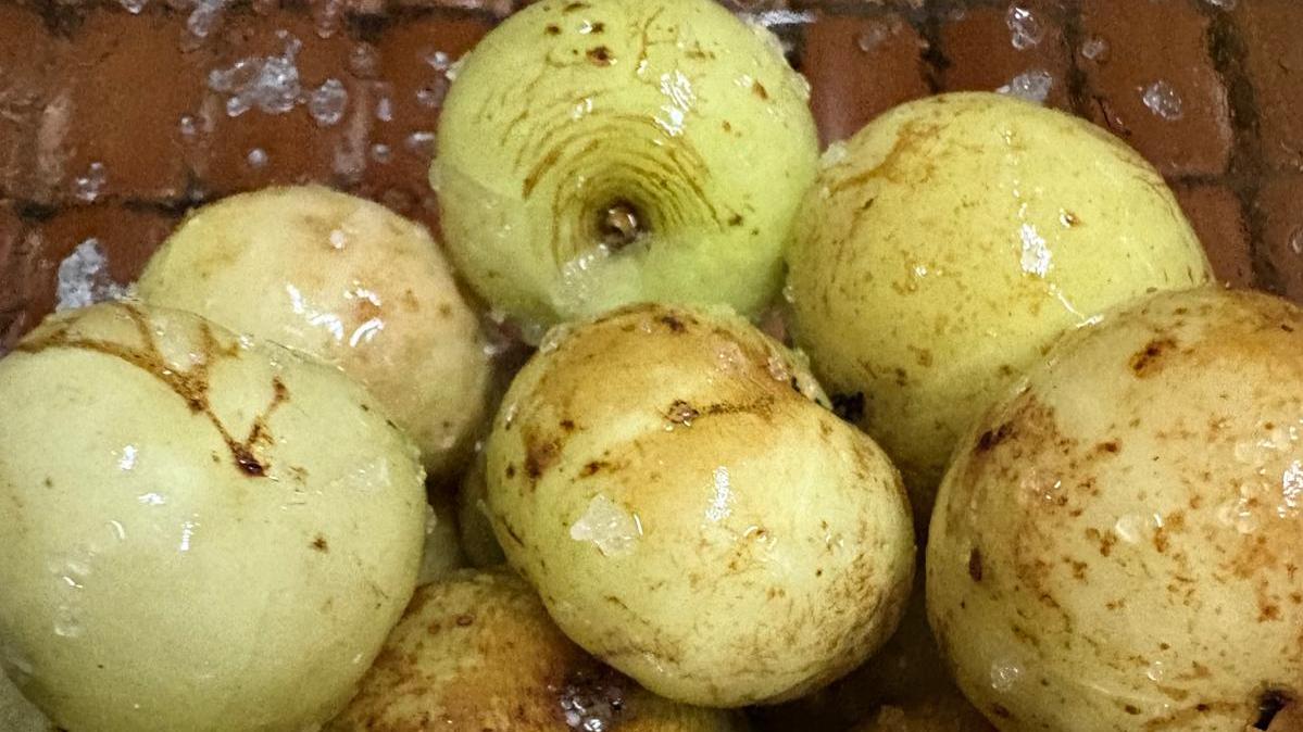 油甘子與珍珠草：同一植物的兩種功效