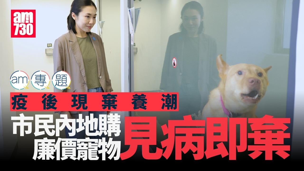 自疫情後，棄養潮變得較以往嚴重。