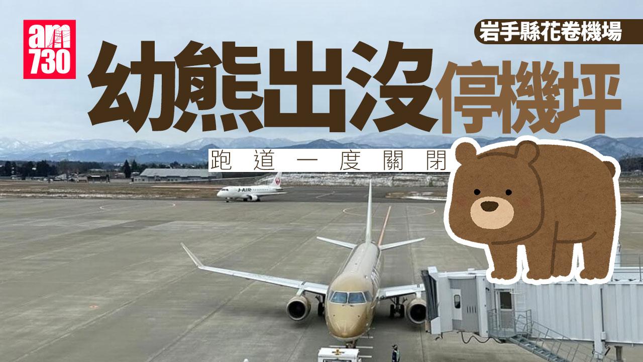 日本熊害｜岩手縣花卷機場小熊「亂入」 跑道一度關閉航班延誤