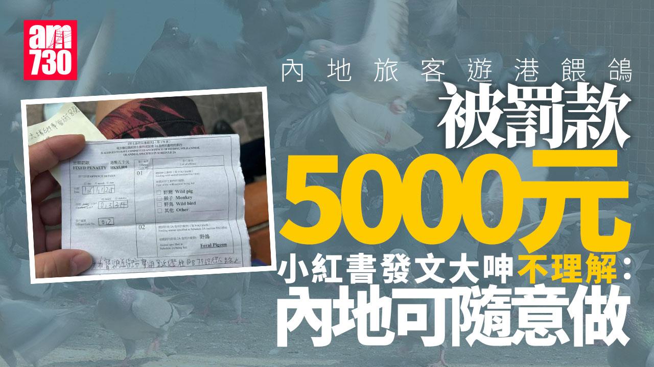 遊港「餵鴿子」被罰5000元　小紅書女不理解呻：內地可隨意做