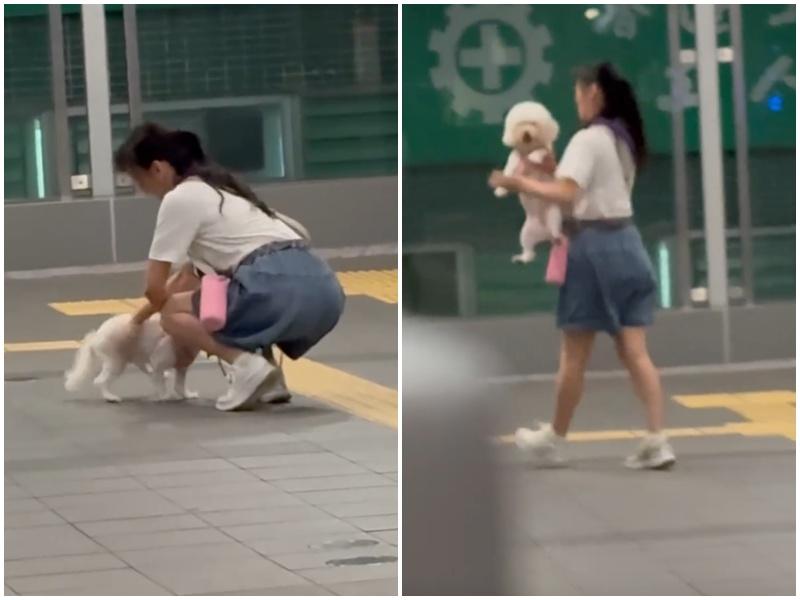 旺角道天橋躁女拍打貴婦狗被捕，目擊者表示狗狗望落去好無助。(threads／5.medicine.5)
