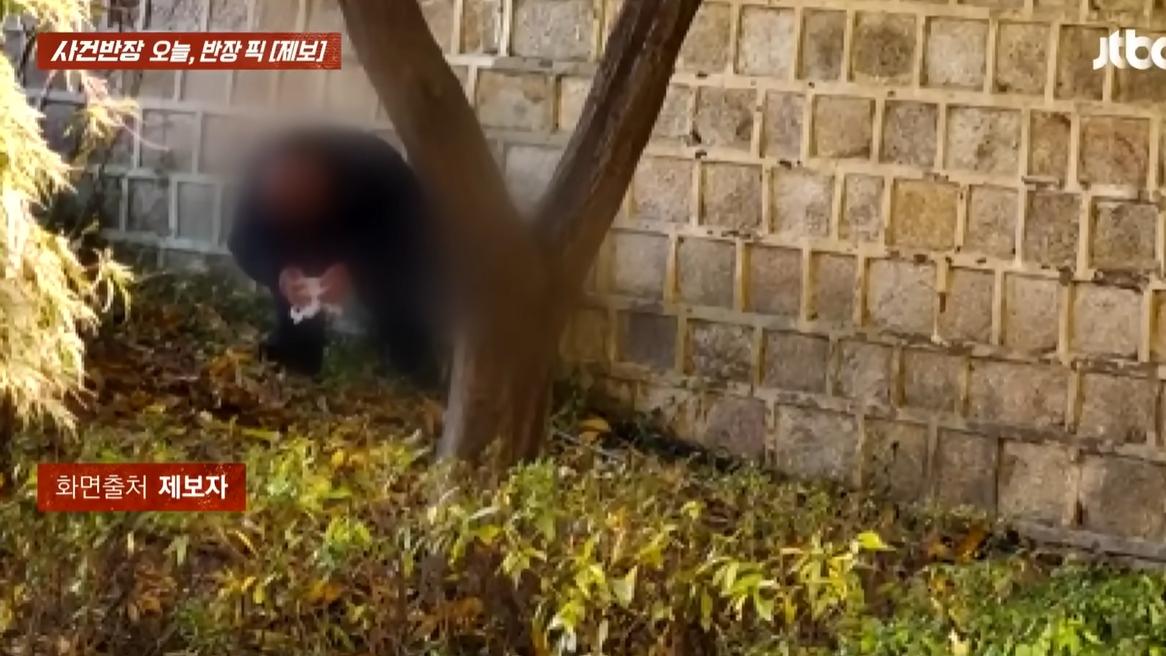 JTBC News報道，有民眾拍下一名男遊客蹲在景福宮神武門附近石牆下疑似大便。(互聯網)