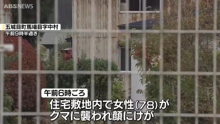日本秋田今傳出多宗熊襲事件。（圖／NNN）