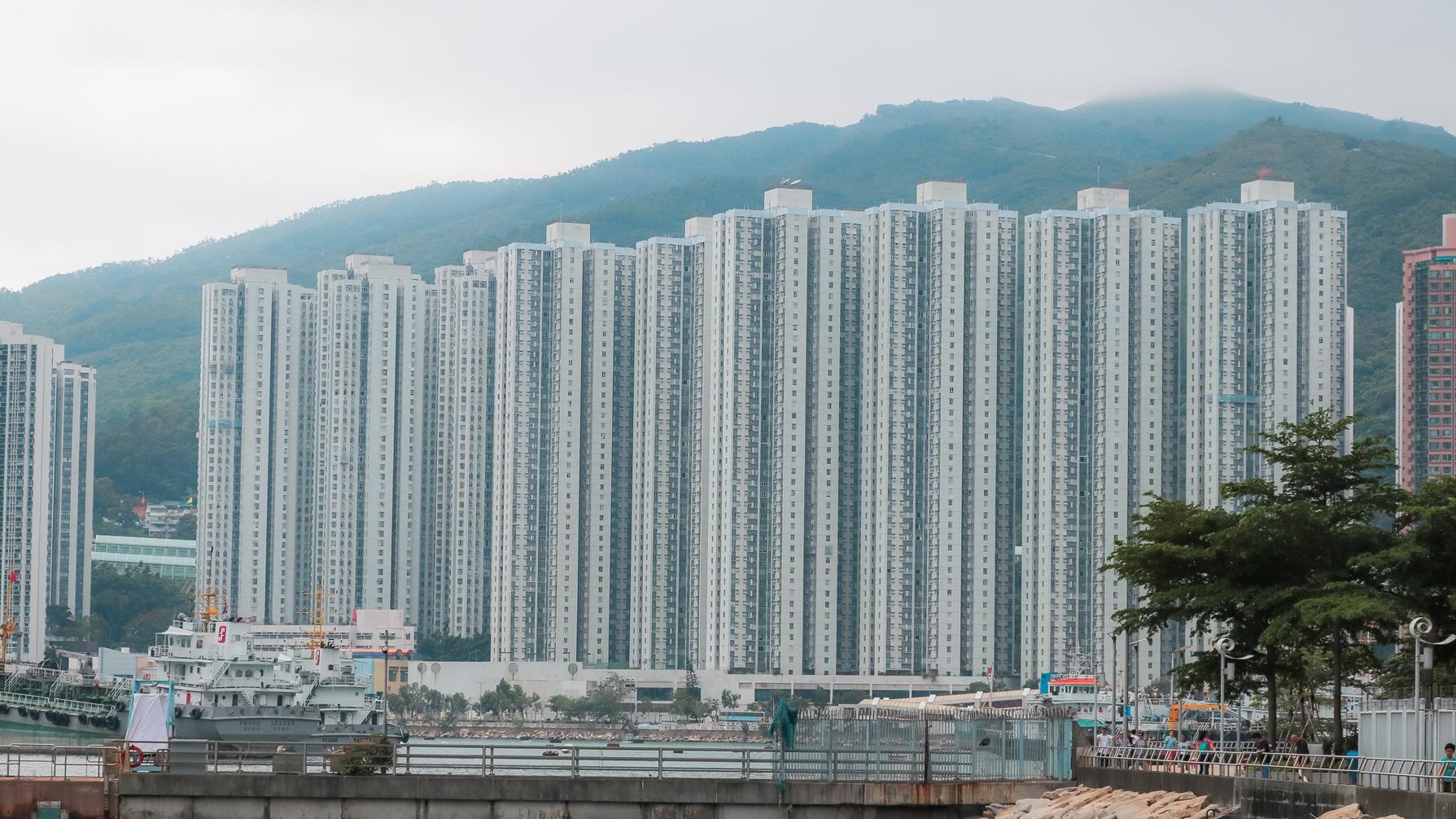 反圍標的真實個案