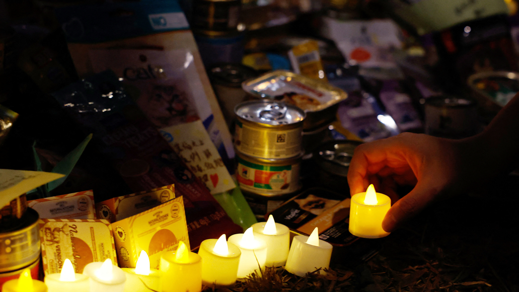 大埔宏福苑五級火，社會同感悲慟(路透社)