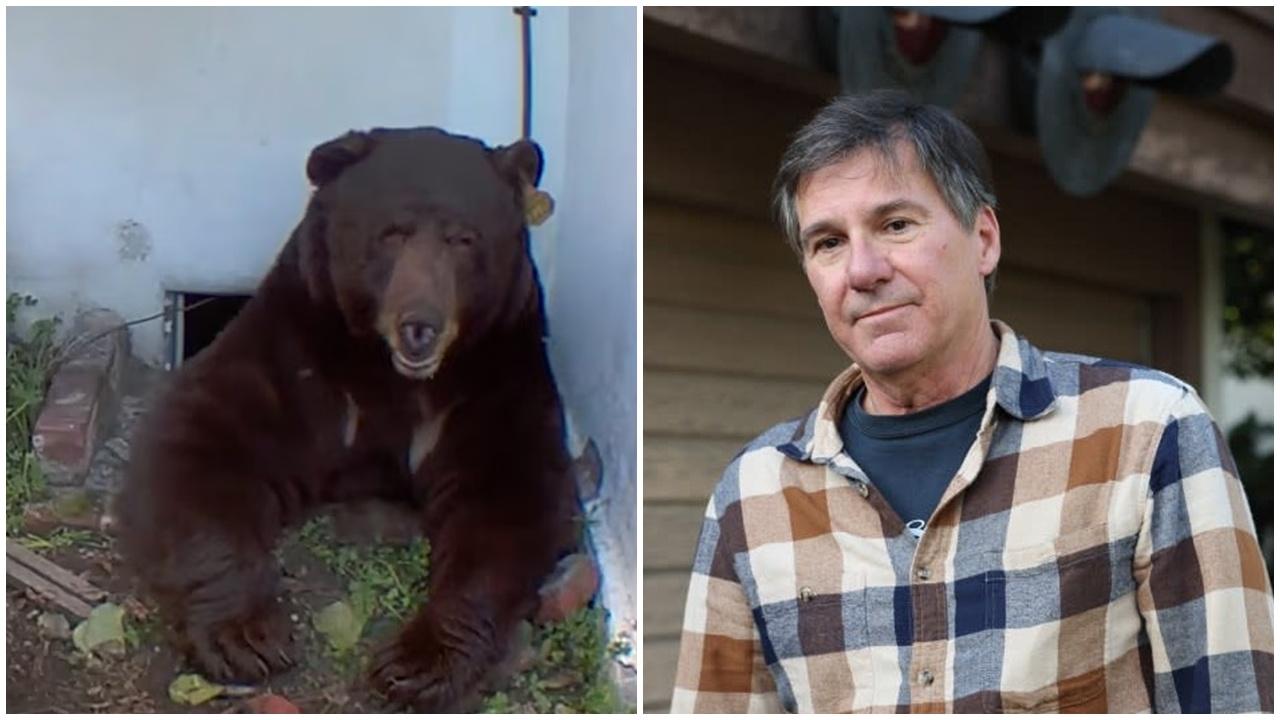 被逼與巨熊同居1個月，戶主崩潰揚言告政府。