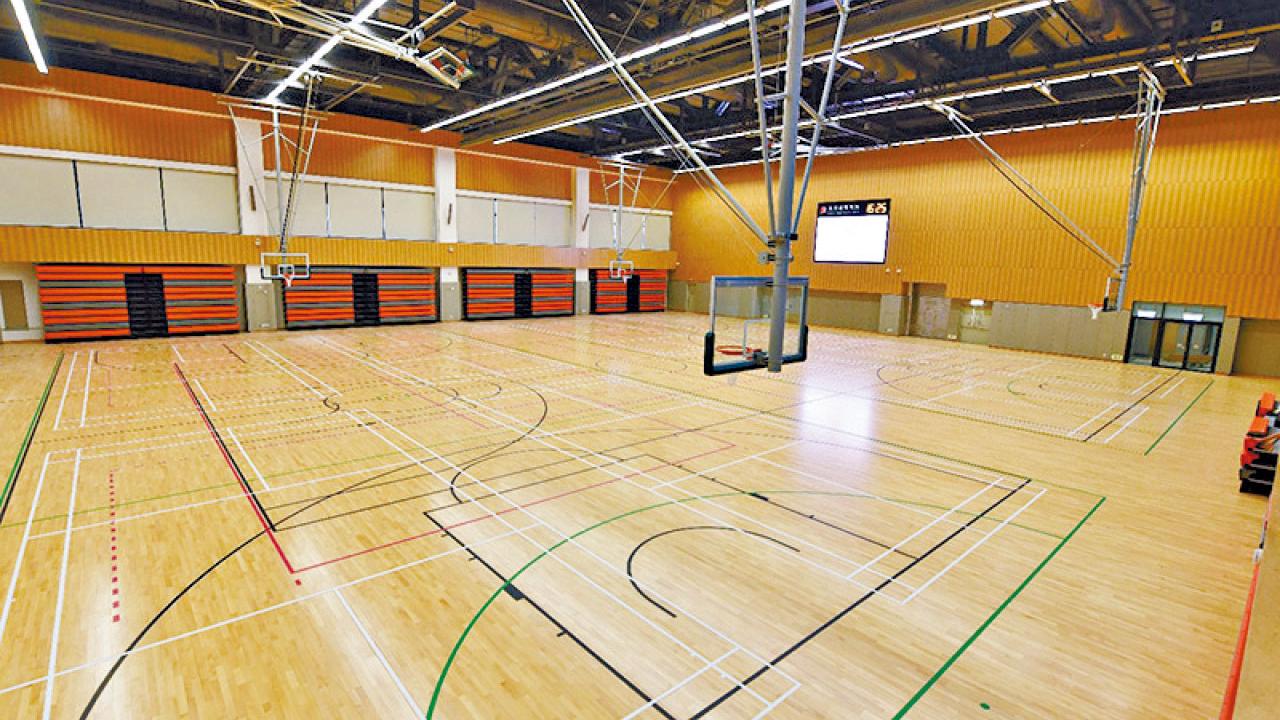 康文署再推3招打擊炒場 室內籃球場排球場取消執雞