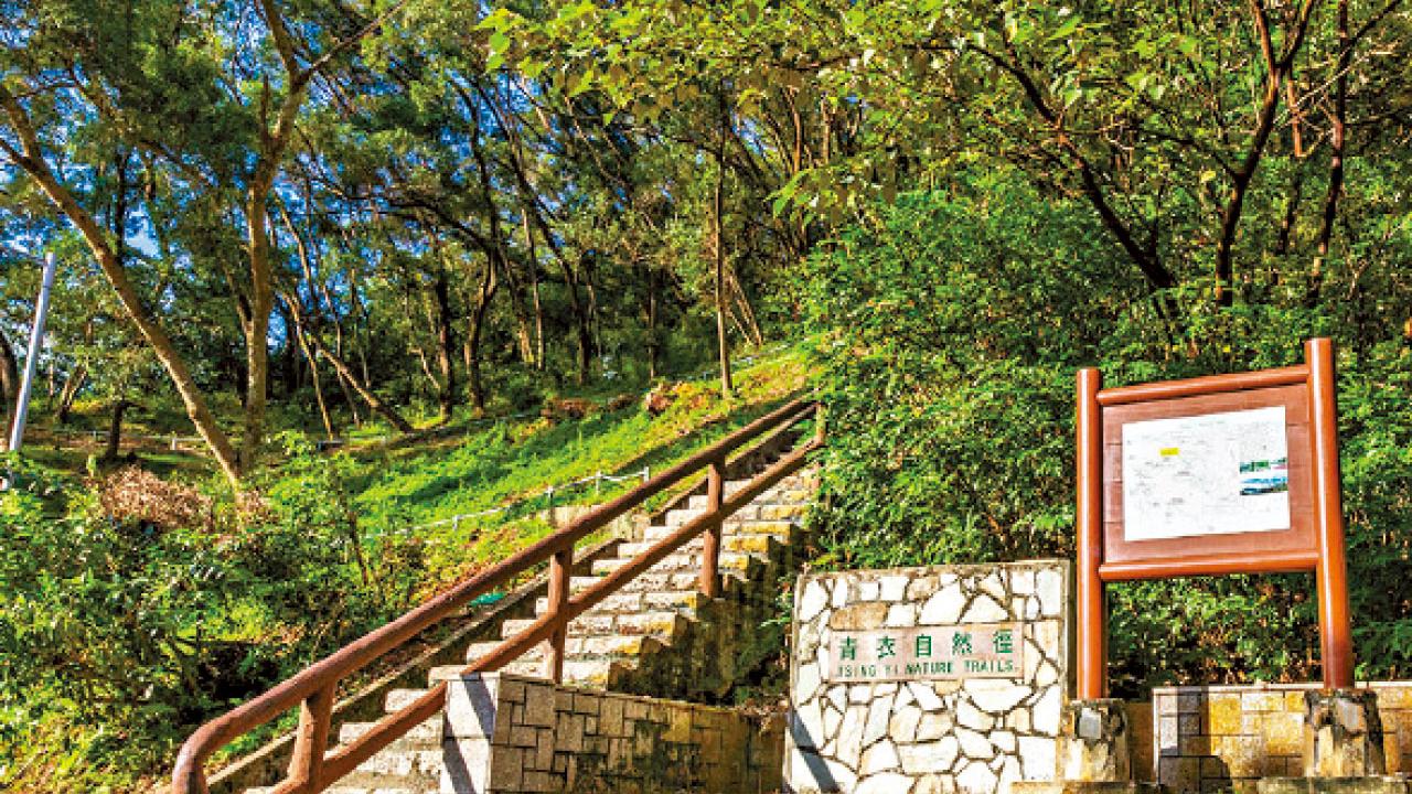 5基孔肯雅熱本地個案曾到訪 青衣自然徑昨起暫停開放