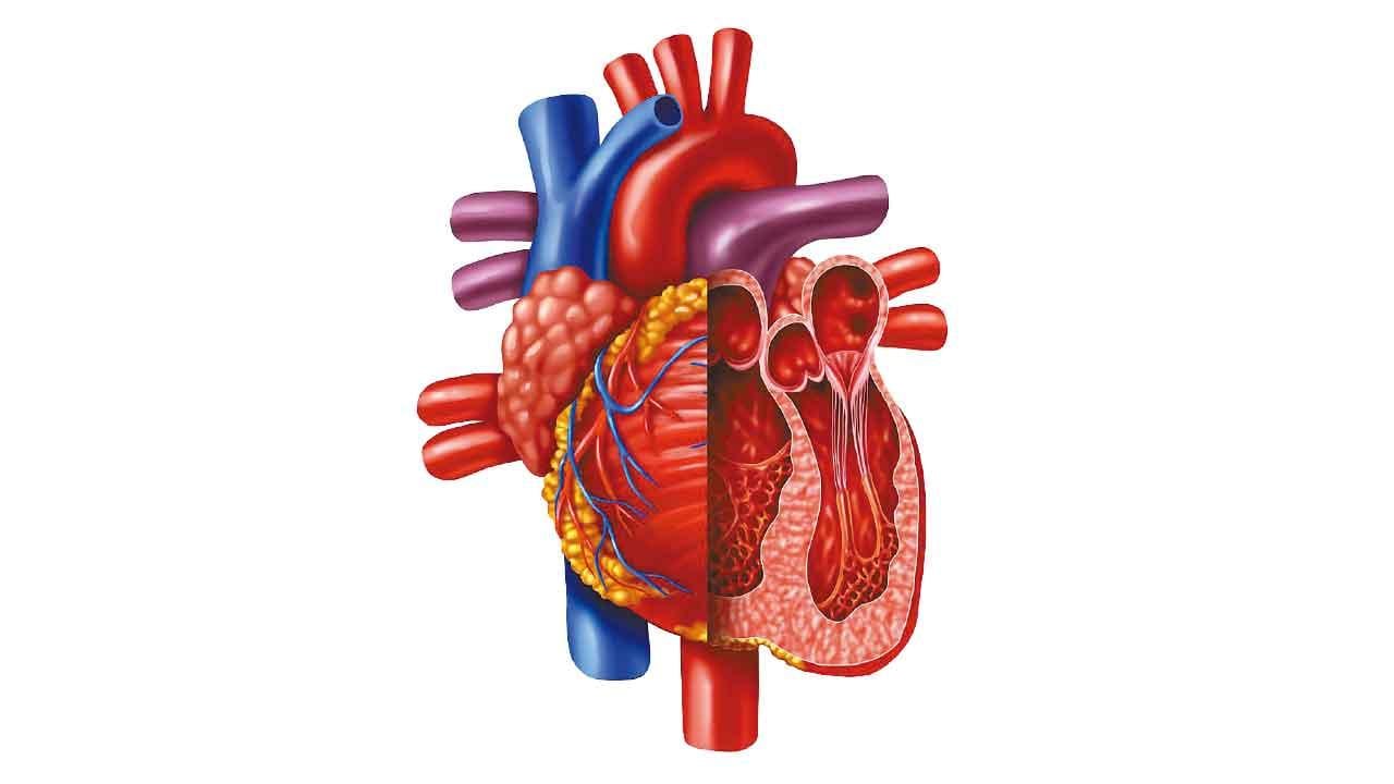 從左心開始的心臟衰竭
