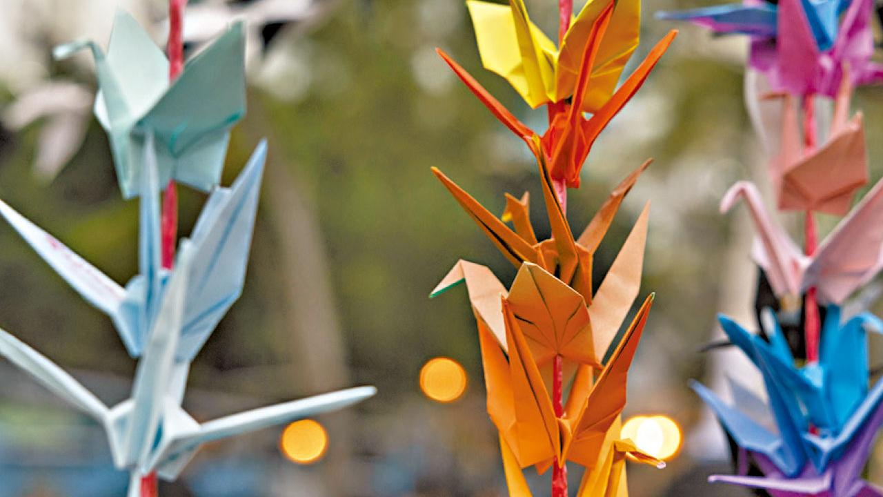 你可以憤怒，但別亂罵人