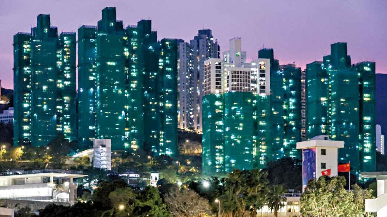 竹棚鋼棚 成本效益高的就是好棚