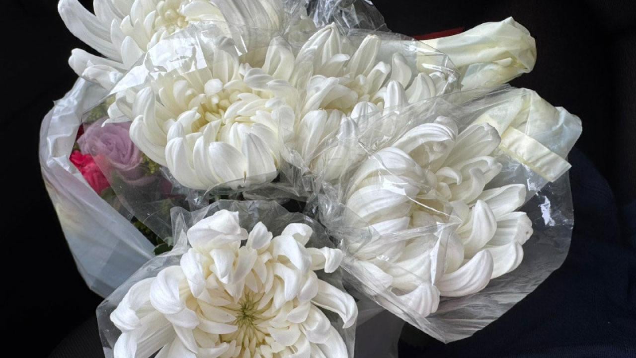 從火海中重生：宏福苑悲劇後的情緒與療癒